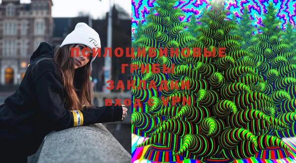 амф Бородино