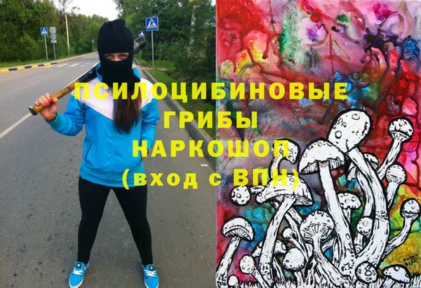 амф Бородино
