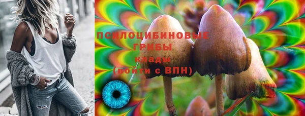 амф Бородино