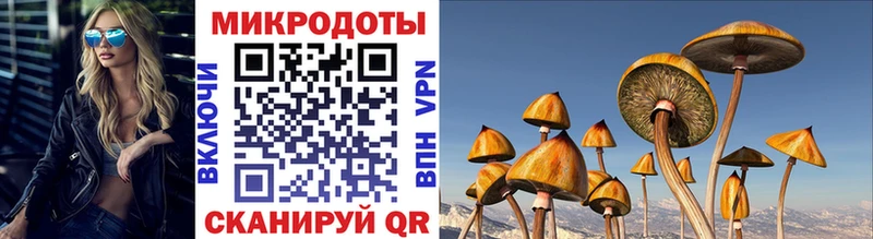 shop телеграм Выборг Псилоцибиновые грибы мицелий где можно купить наркотик